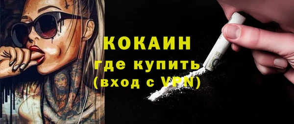 хмурый Арсеньев