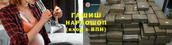 хмурый Арсеньев