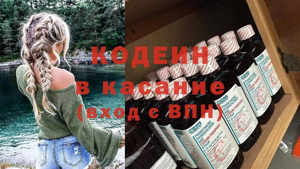 хмурый Арсеньев