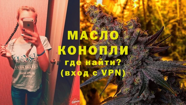 индика Армянск