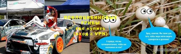 индика Армянск