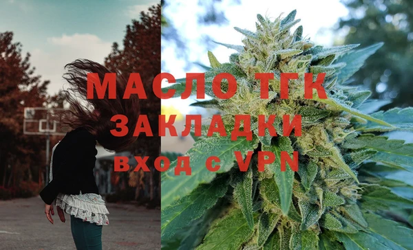 хмурый Арсеньев
